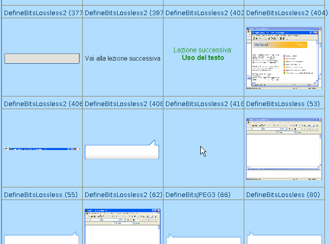 Screenshot degli elementi contenuti nel file SWF
