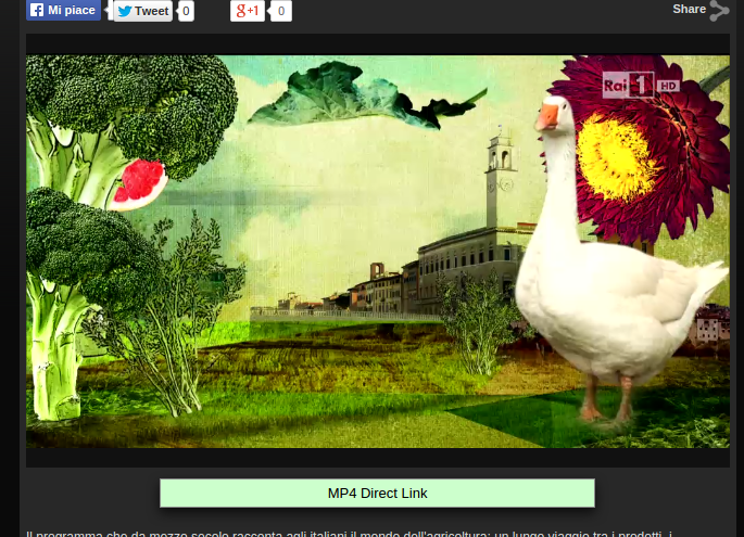 Screenshot sito web Rai con barra verde visibile